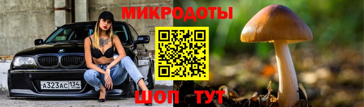 Псилоцибиновые грибы Cubensis  Вход с VPN  Ессентуки 